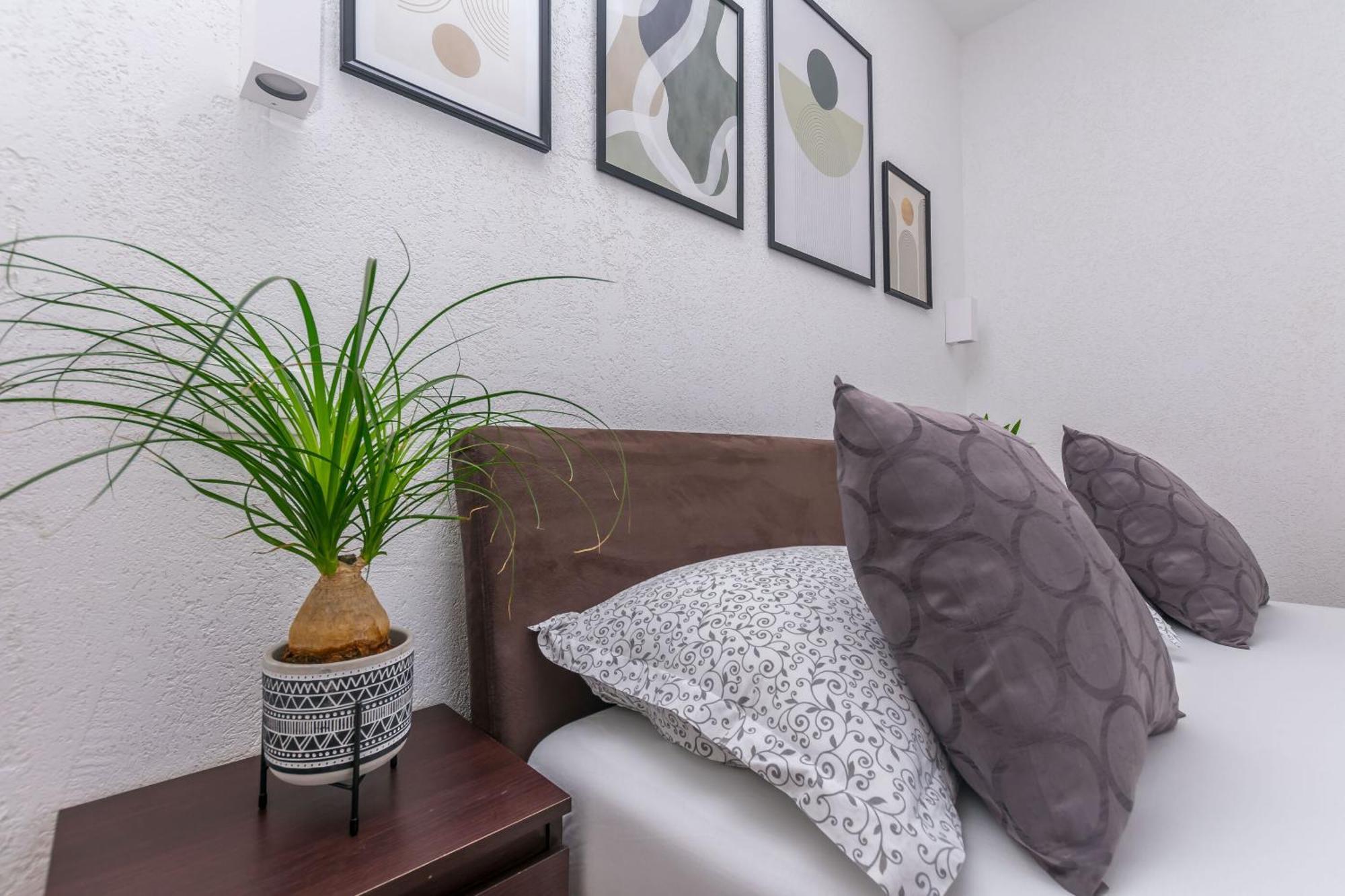 Apartments Mladen ดูเช ภายนอก รูปภาพ
