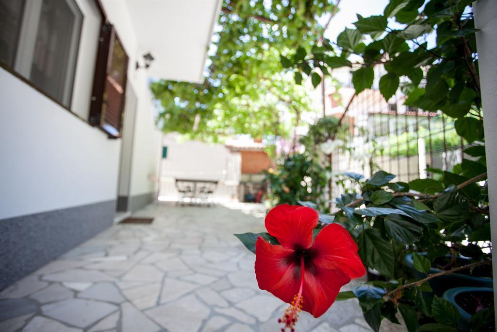 Apartments Mladen ดูเช ภายนอก รูปภาพ